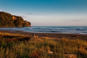 07Jun2015010604Ohope Beach Early Morning.jpg